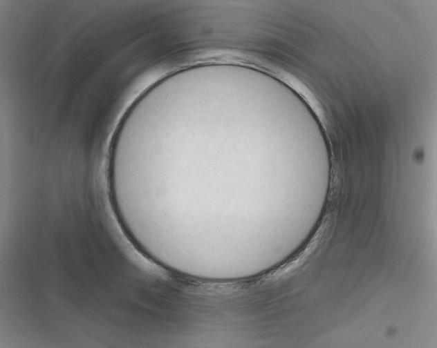 X0000116341090201001131040