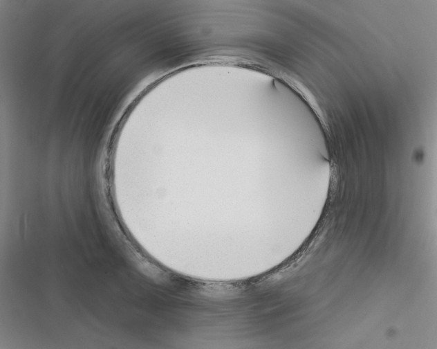 X0000116341091201001131040