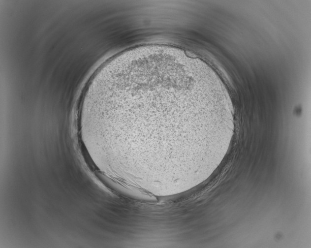 X0000116341092201001131040