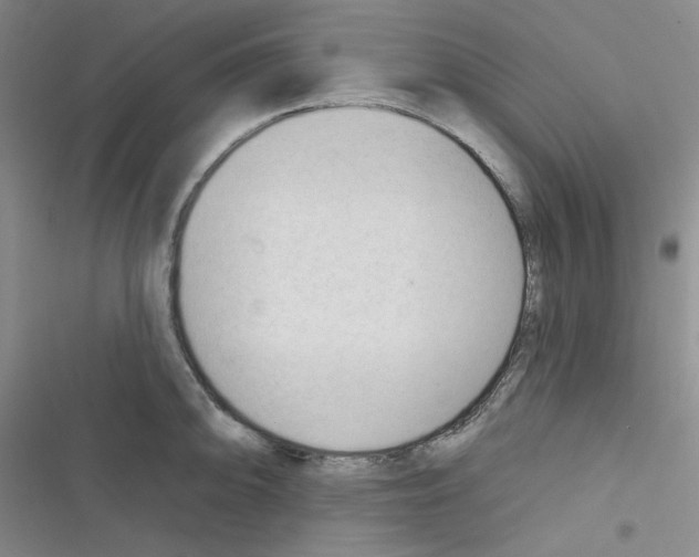 X0000116341094201001131040