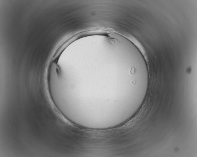 X0000116341096201001131040