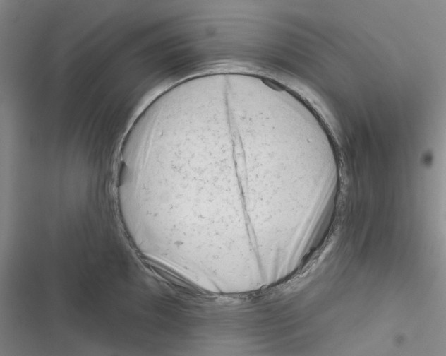 X0000116341097201001131040