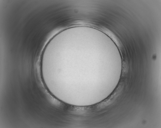 X0000116341098201001131040