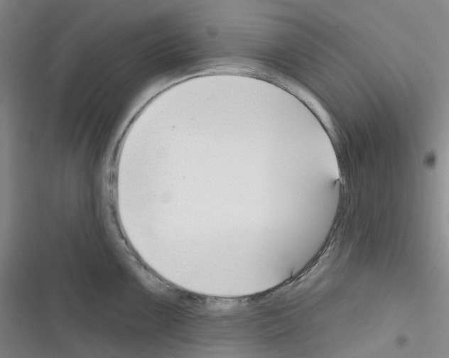 X0000116341099201001131040