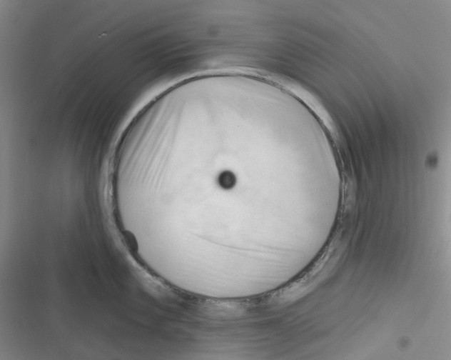 X0000116341101201001131040