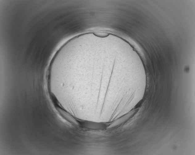 X0000116341102201001131040