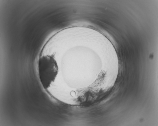 X0000116341103201001131040