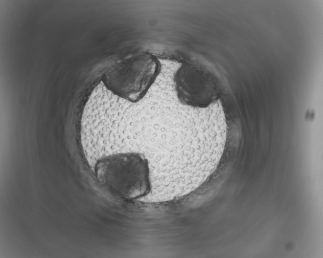 X0000116341105201001131039