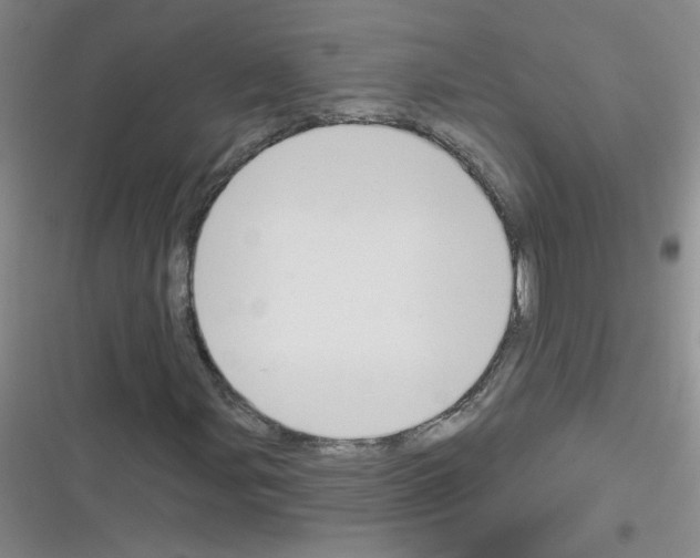 X0000116341107201001131039