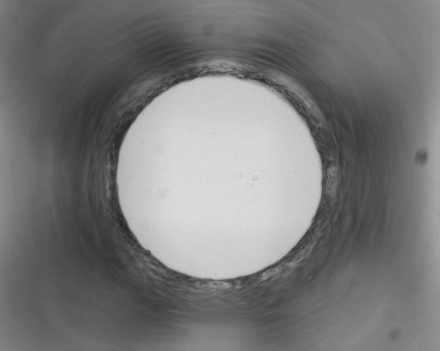 X0000116341111201001131039