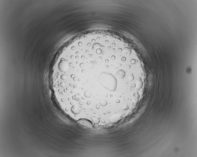 X0000116341113201001131039