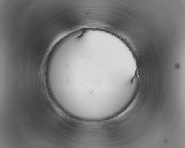 X0000116341114201001131039