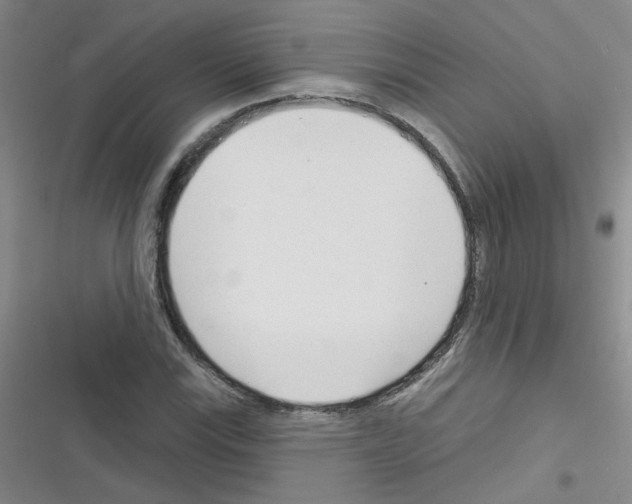 X0000116341115201001131039