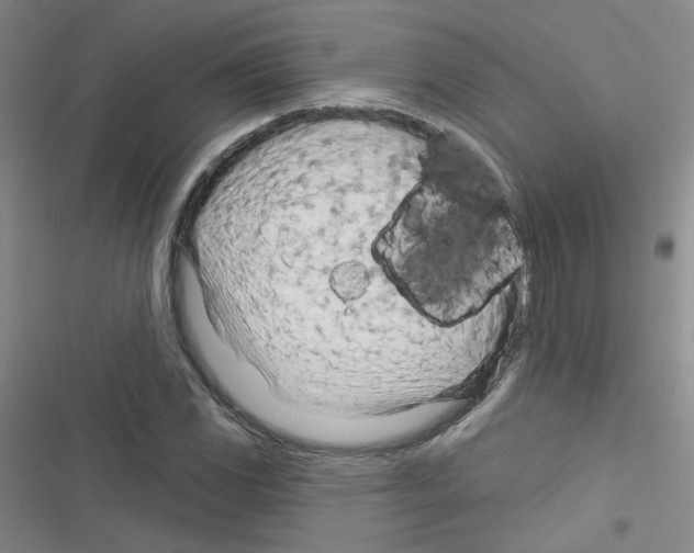 X0000116341117201001131039