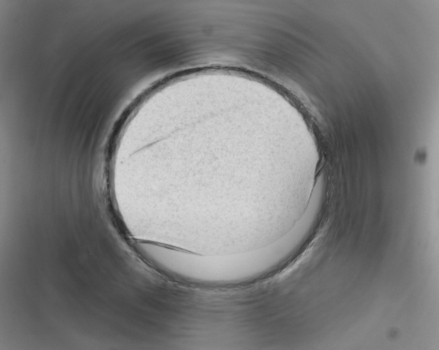 X0000116341118201001131039