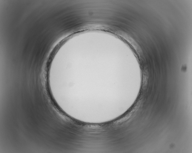 X0000116341119201001131039