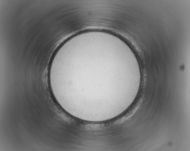 X0000116341121201001131039