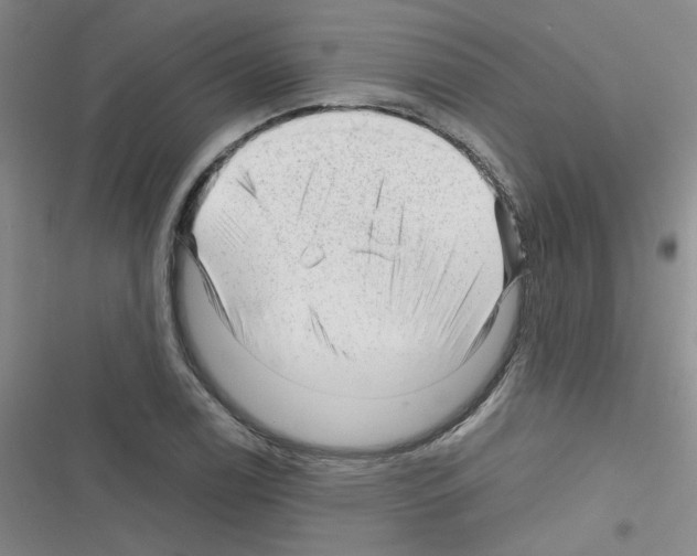 X0000116341122201001131039