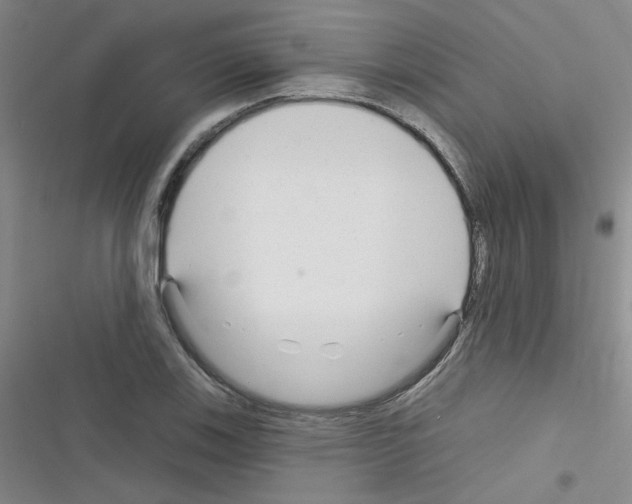 X0000116341123201001131039