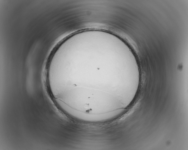 X0000116341125201001131039