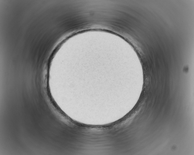 X0000116341126201001131039