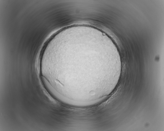 X0000116341127201001131040