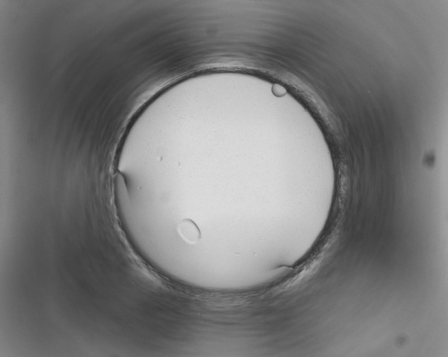 X0000116341129201001131040