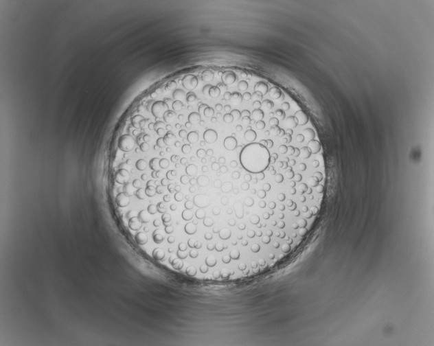 X0000116341130201001131040