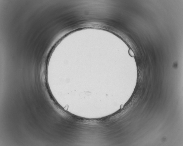 X0000116341131201001131040