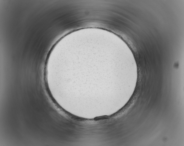 X0000116341134201001131040