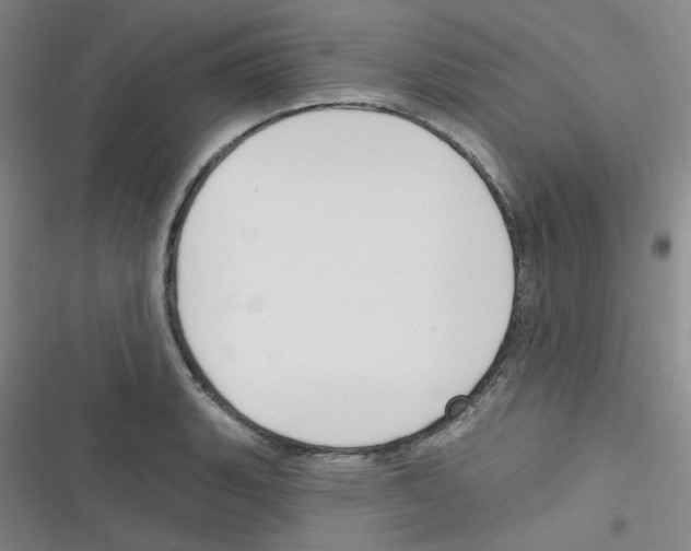 X0000116341135201001131040