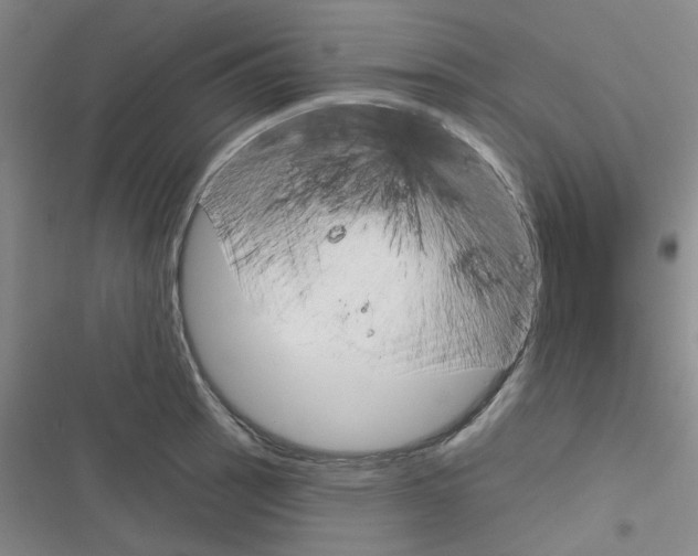 X0000116341137201001131040