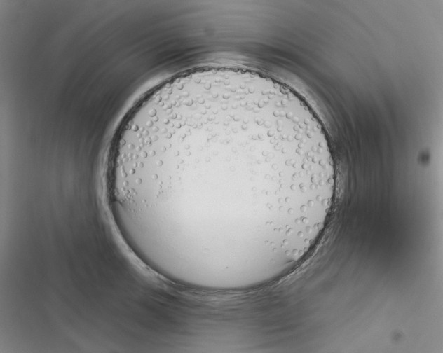 X0000116341139201001131040