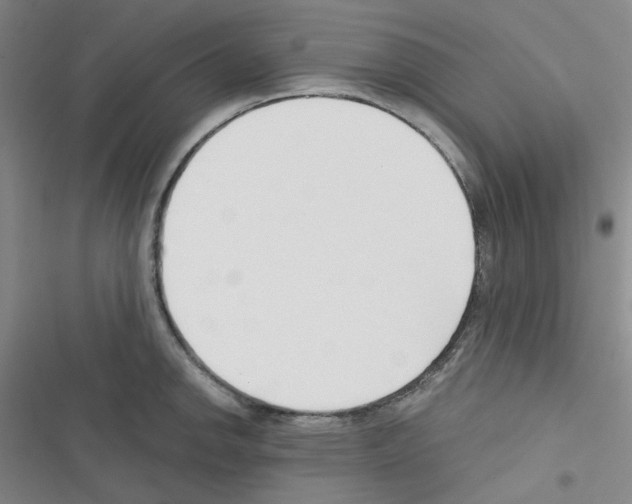 X0000116341142201001131040