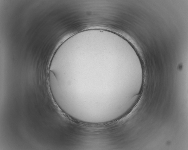 X0000116341145201001131040