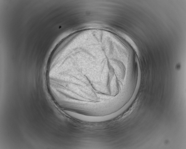 X0000116341146201001131040