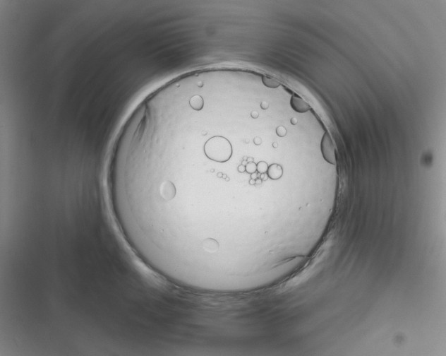 X0000116341149201001131040