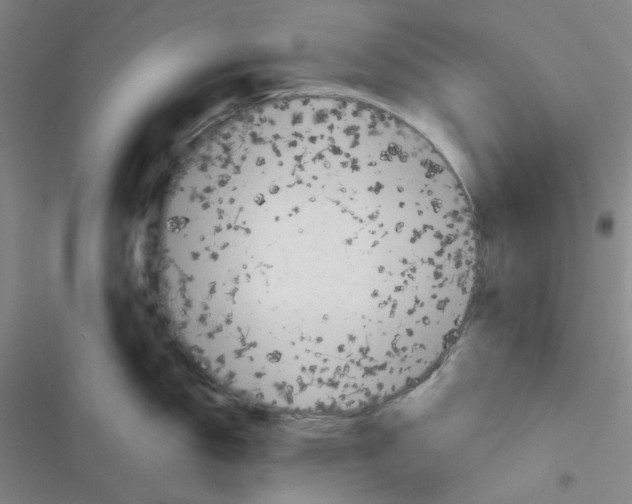 X0000116341150201001131040