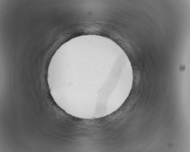 X0000116341153201001131039