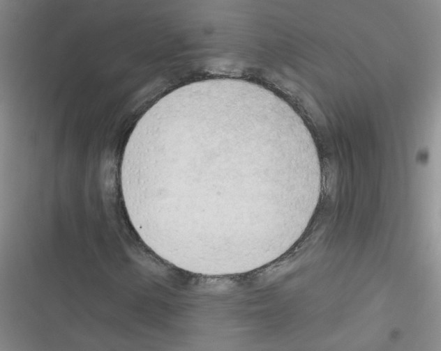 X0000116341154201001131039