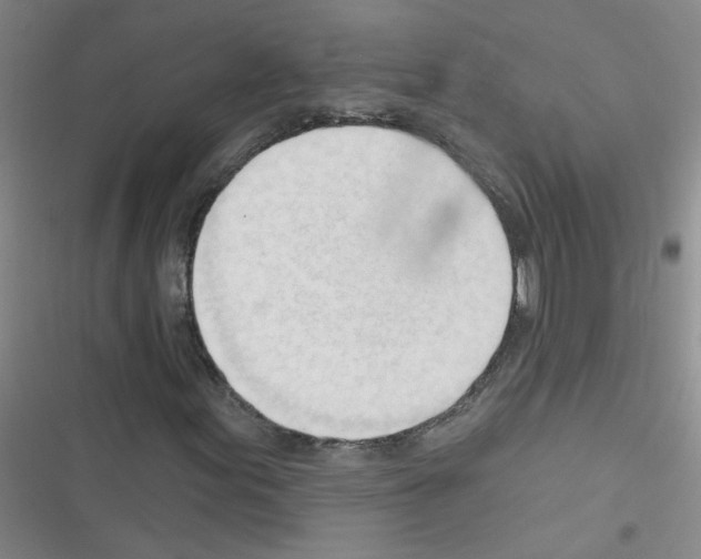 X0000116341155201001131039