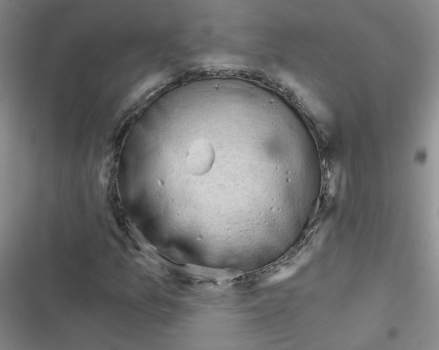 X0000116341157201001131039