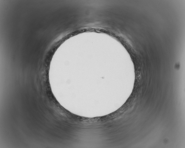 X0000116341159201001131039