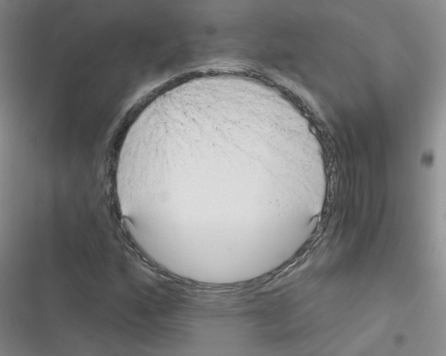 X0000116341160201001131039