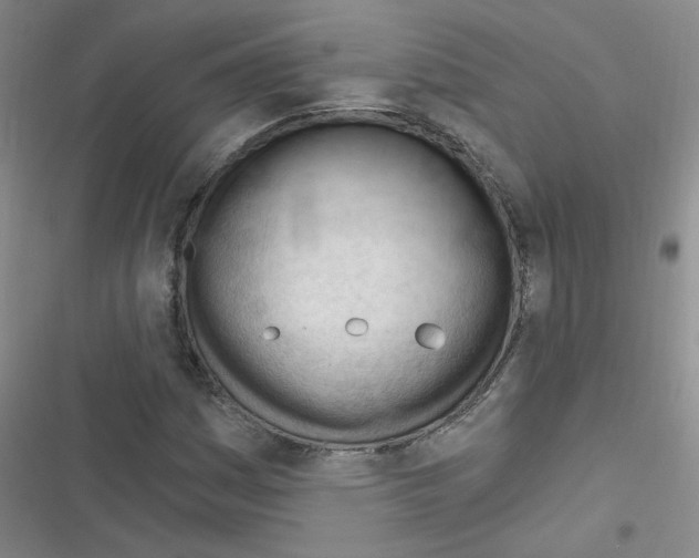 X0000116341161201001131039