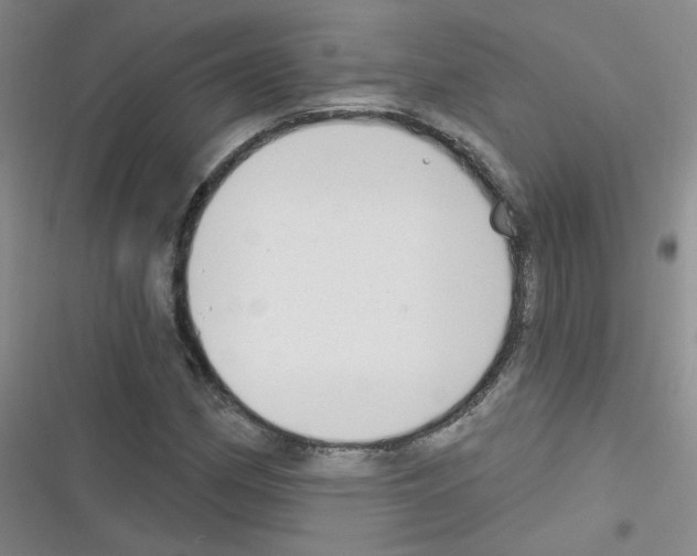 X0000116341162201001131039