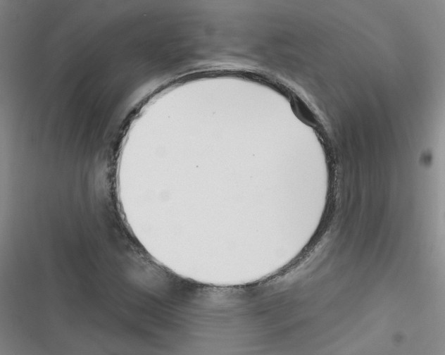 X0000116341163201001131039