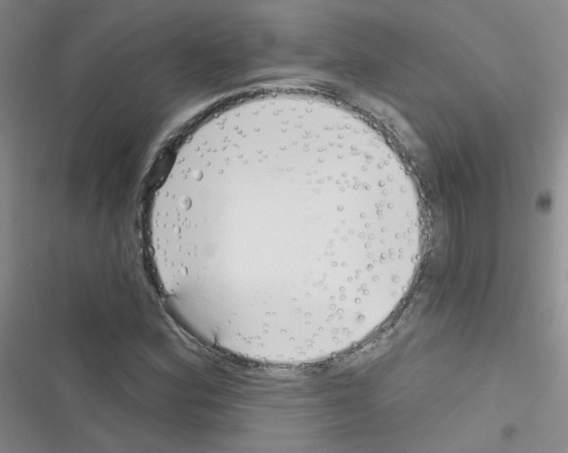 X0000116341164201001131039