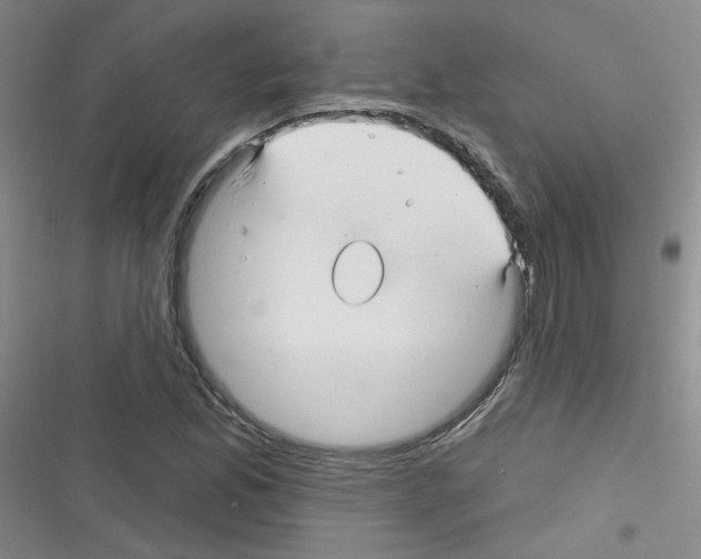 X0000116341165201001131039