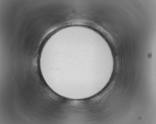 X0000116341166201001131039